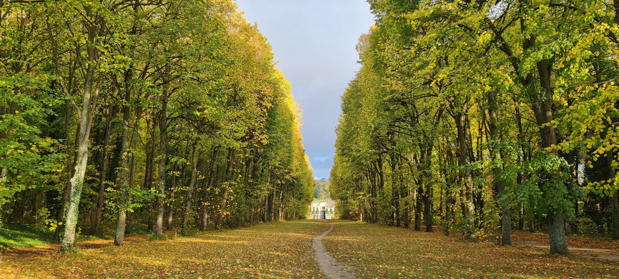 Parc de Saint-Cloud Paris